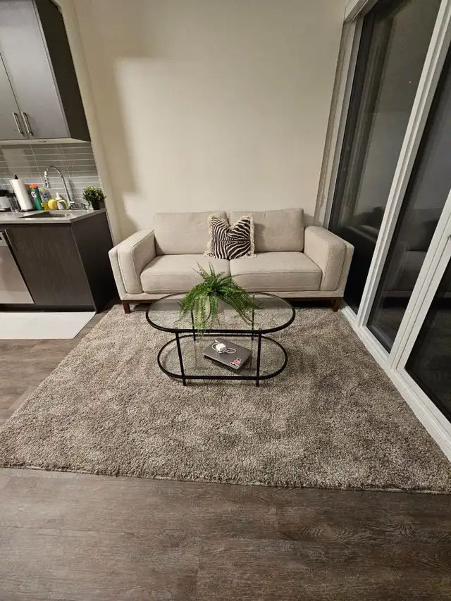 Luxury 1   1 Condo For Summer Sublease - Photo 6