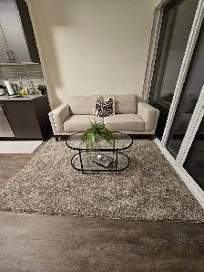 Luxury 1   1 Condo For Summer Sublease - Photo 6