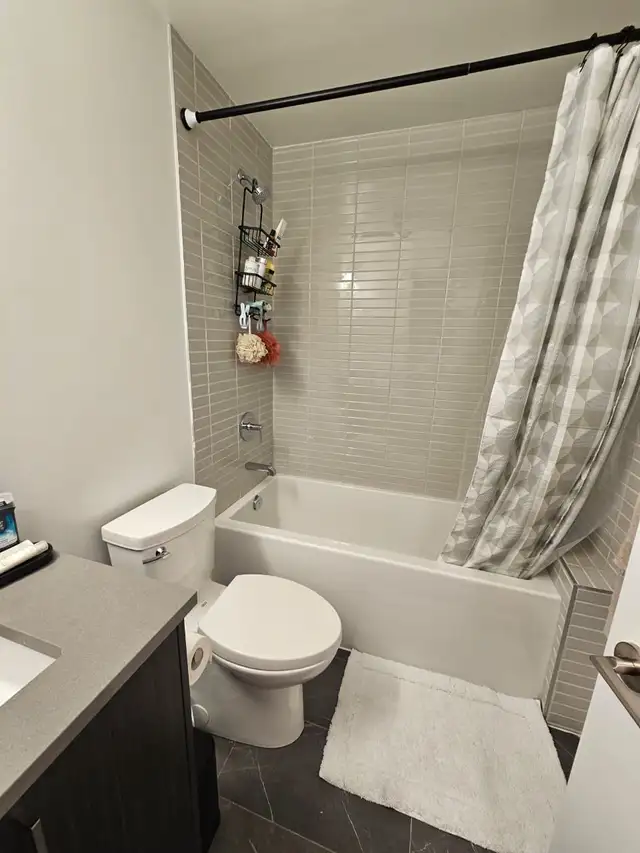 Luxury 1   1 Condo For Summer Sublease - Photo 7
