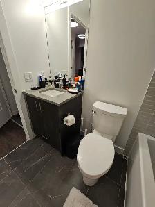 Luxury 1   1 Condo For Summer Sublease - Photo 8