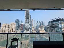 Luxury 1   1 Condo For Summer Sublease - Photo 10
