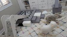 RENT: Soft Play & Ball Pit Rental! - Little Tots, Big Fun - Photo 5