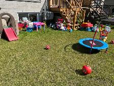 assistante en milieu familial