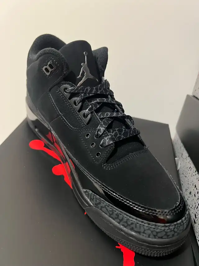 Brand New 2025 Jordan 3 Black Cat