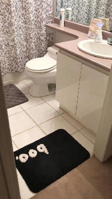 Room available for rent - Photo 6