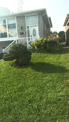 Lg 2 Bedrooms - Don Mills and McNicol