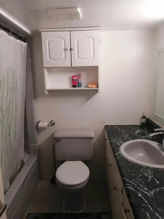 Lg 2 Bedrooms - Don Mills and McNicol - Photo 6