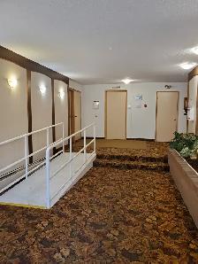 1 Bedroom Apt Available April 1st. Near Edmonds Skytrain Station - Photo 2