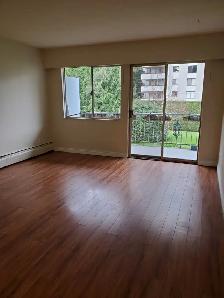 1 Bedroom Apt Available April 1st. Near Edmonds Skytrain Station - Photo 3
