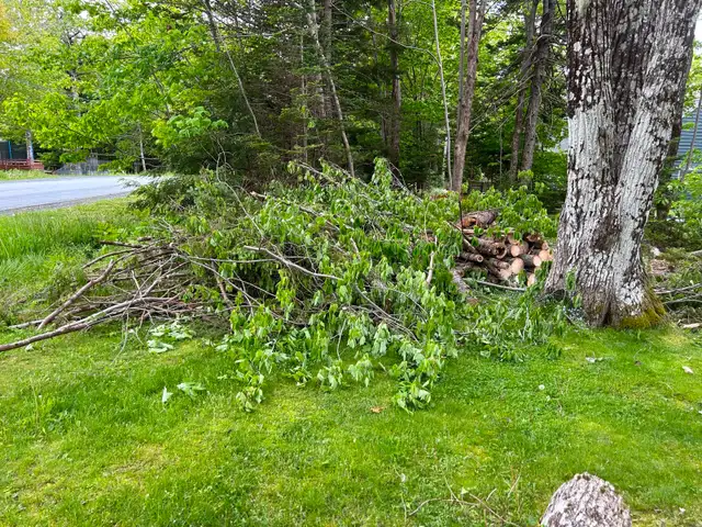 Don’t Over Pay With Those Other Guys On Junk / Garbage Removal - Photo 7