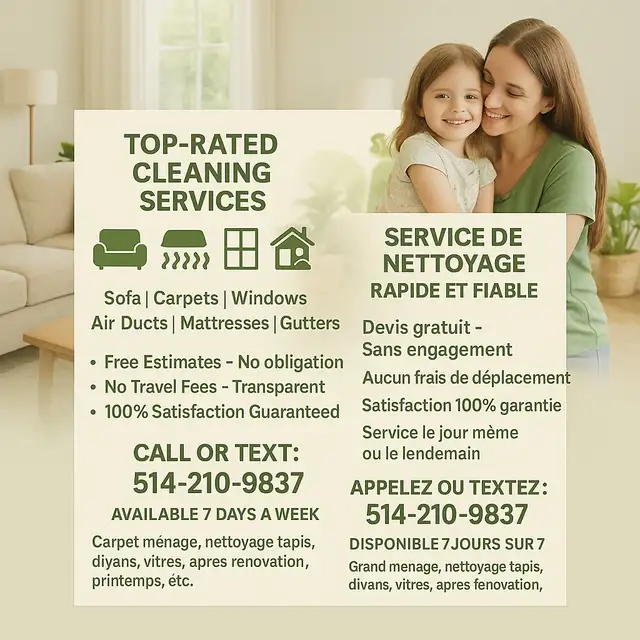 vitre nettoyage lavage tapis sofas