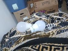 Two female cats - Photo 2