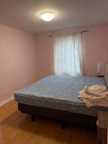 Beautiful Furnished Apartment for May in Côte-des-Neiges - Photo 3