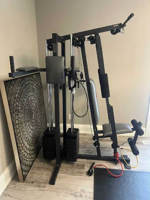 Immaculate full workout set