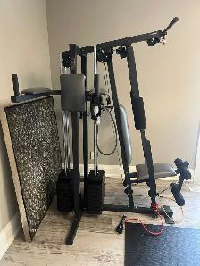 Immaculate full workout set