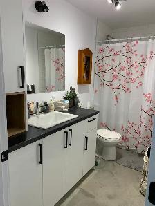 4 1/2 Magnifique et Lumineux, dispo 1er Juillet 2026 - Photo 6