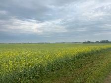 Seeking Farm Labourer