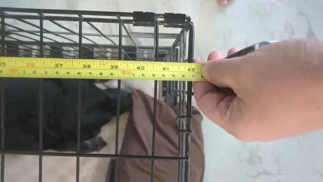 Dog Crate - large - free - Photo 2