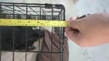 Dog Crate - large - free - Photo 2