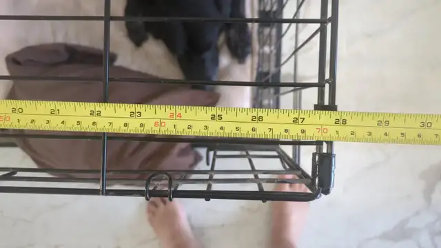 Dog Crate - large - free - Photo 3