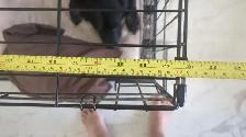 Dog Crate - large - free - Photo 3