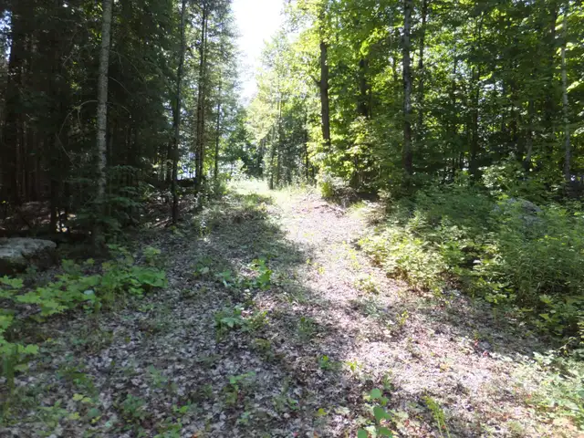 7.5 Acres Haliburton with Financing $1,170 per month - Photo 7