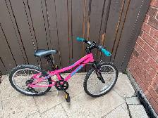 Raleigh Vibe Youth Bike, 20-in, Pink