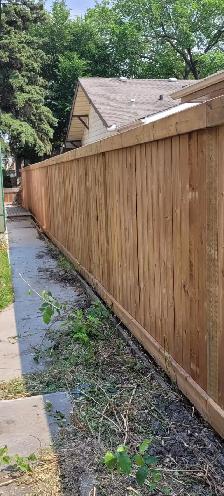 Fence/deck.Built to last.