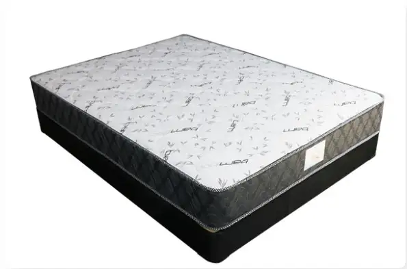 Sleep Rest Mattress - $170