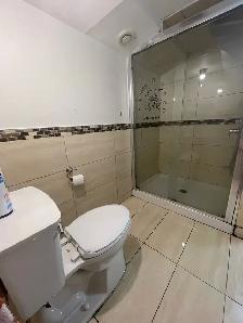 2 BDR Basement for rent - Photo 4