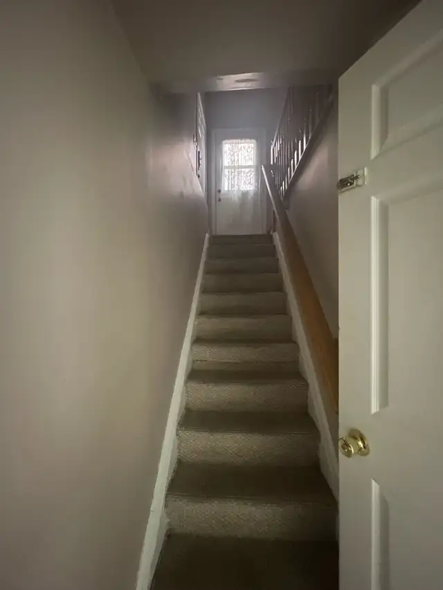 2 BDR Basement for rent - Photo 6