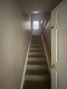 2 BDR Basement for rent - Photo 6