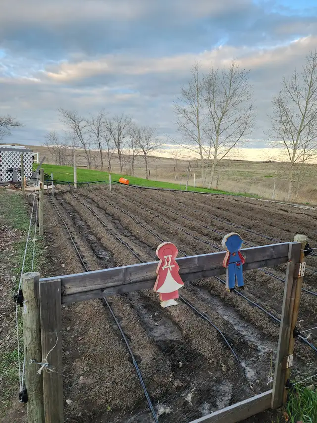 Fully Furnished Country Living- 3 Bedroom House on 8 acres - Photo 8