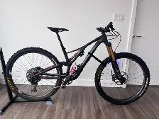 2019 Specialized Stumpjumper Carbon Custom Build