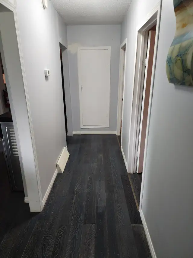 Fully Furnished Country Living- 3 Bedroom House on 8 acres in Sa - Photo 7