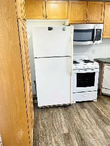 basement(studio) apartment - Photo 2