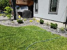 Yard work and junk removal - Photo 3