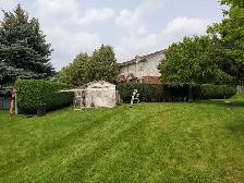 Yard work and junk removal - Photo 4