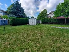 Yard work and junk removal - Photo 5