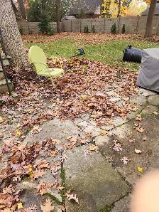 Yard work and junk removal - Photo 6