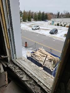 Yard work and junk removal - Photo 10