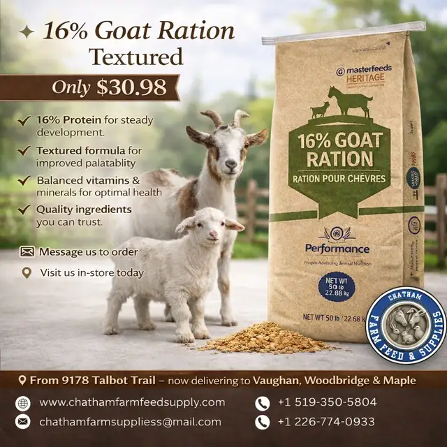 16% Goat Ration – Complete Nutrition for Healthy Goats!