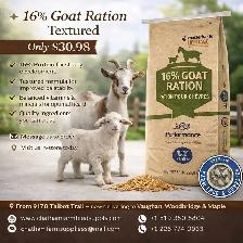 16% Goat Ration – Complete Nutrition for Healthy Goats!
