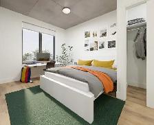 summer femle sublet - Photo 8