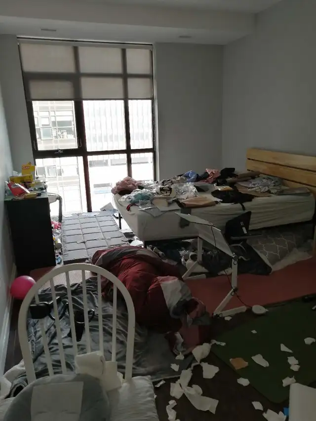 Bluestar cleaning service