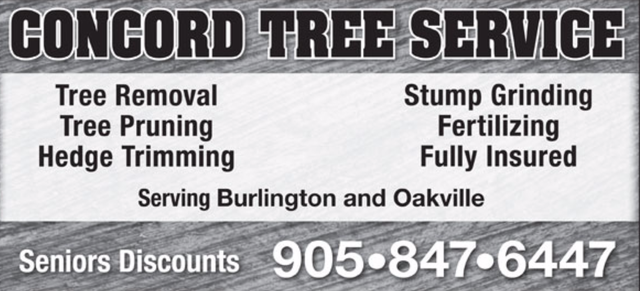 TREE REMOVALS - PRUNING