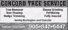 TREE REMOVALS - PRUNING
