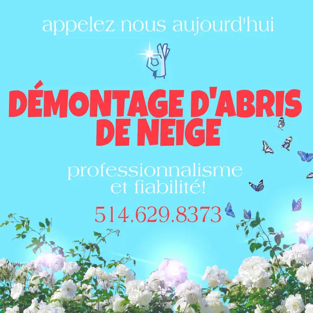 Désinstallation Démontage Abris d’auto/Snow Tempo Removal