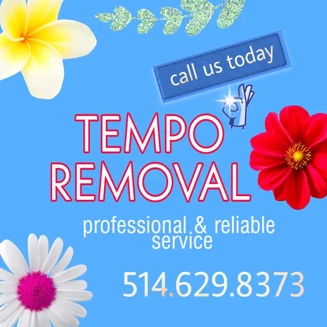 Désinstallation Démontage Abris d’auto/Snow Tempo Removal - Photo 2