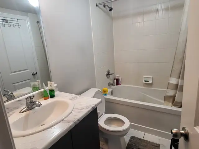 1 Bed / 1 Parking apartment - Brampton North - Available May 1st - Photo 7